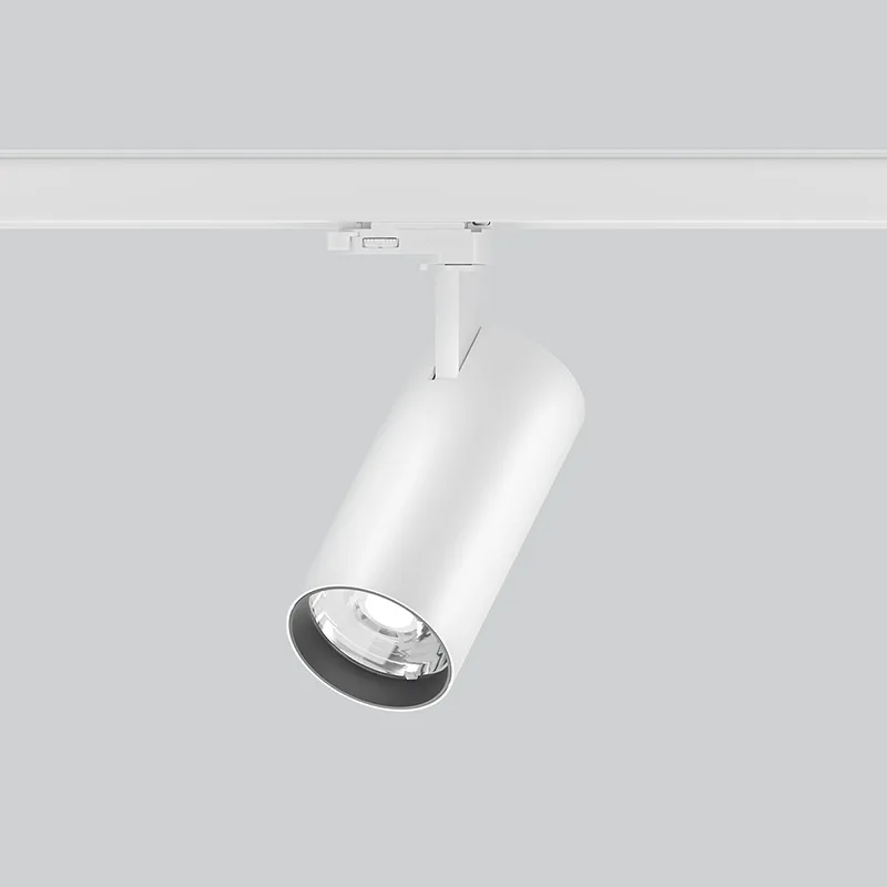 ECO 80