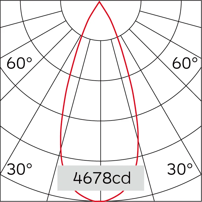 41°