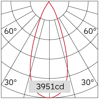 41°