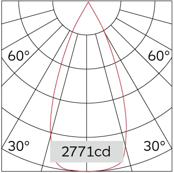 40°