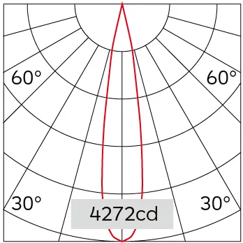 19°
