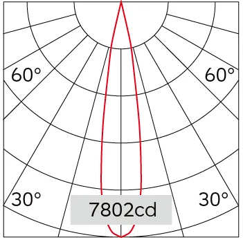 19°