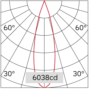 29°