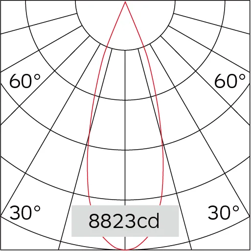31°