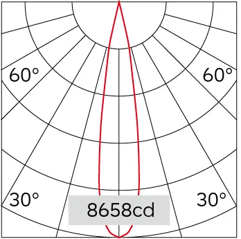 19°