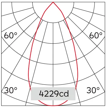49°