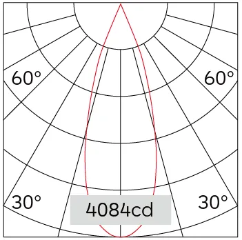 31°