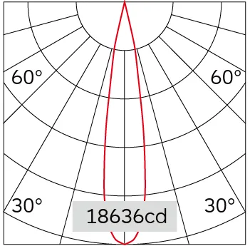 19°