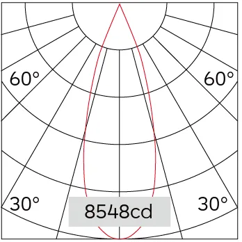 31°