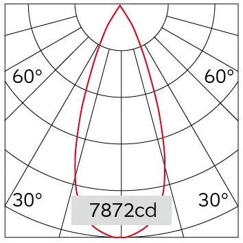 41°