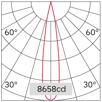 19°