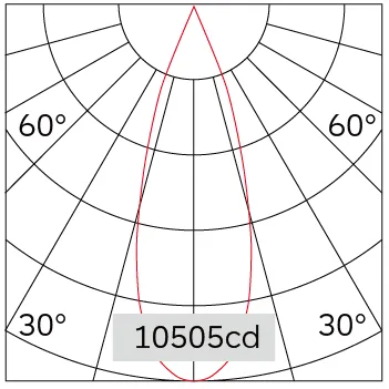 31°
