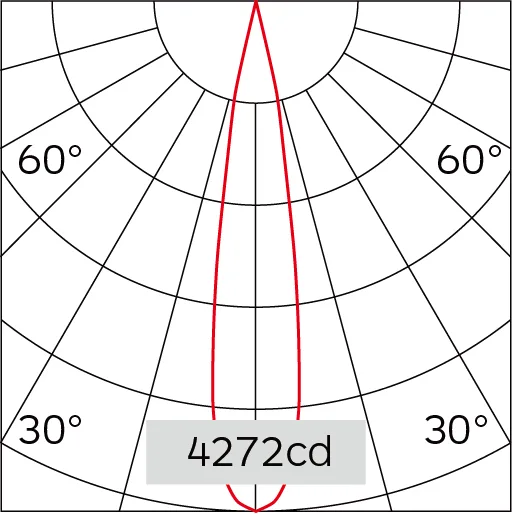 19°