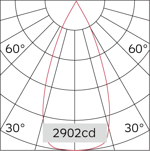 41°