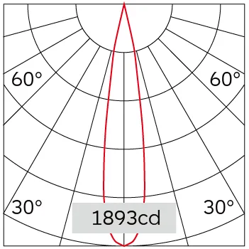 19°