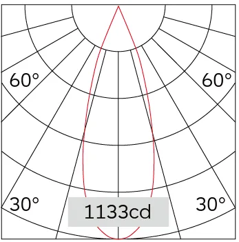 31°