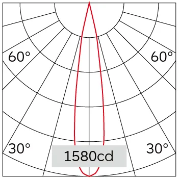 19°