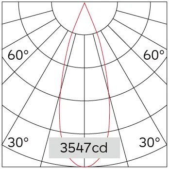 31°