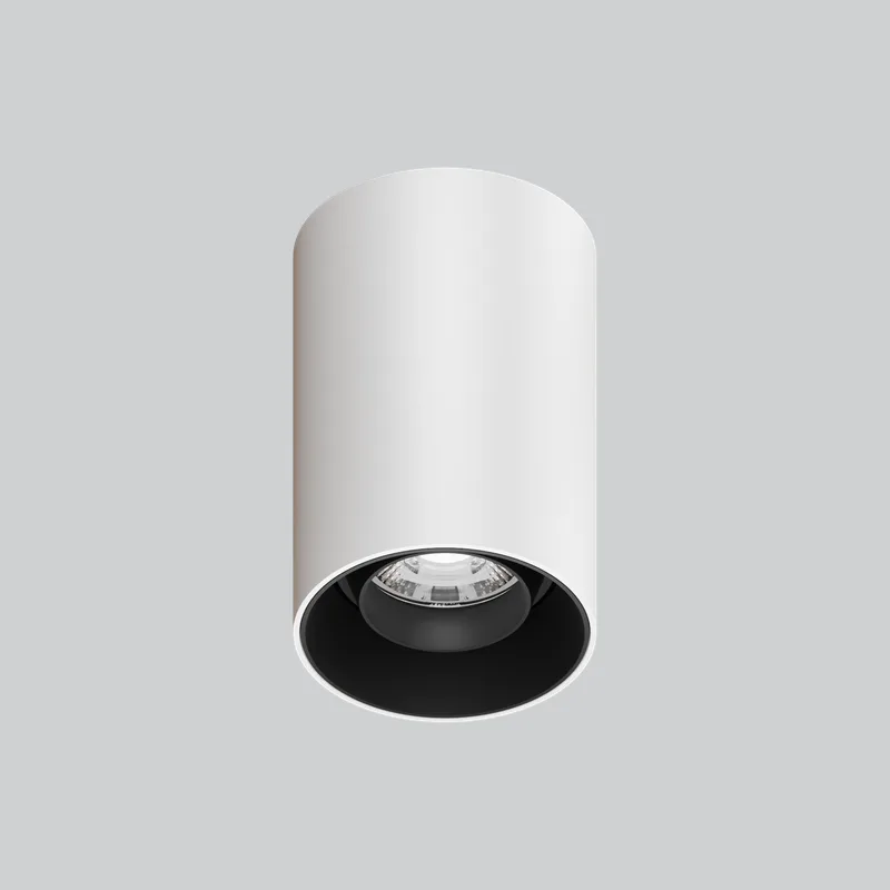 ADJ E SURFACE MOUNTED LIGHT
