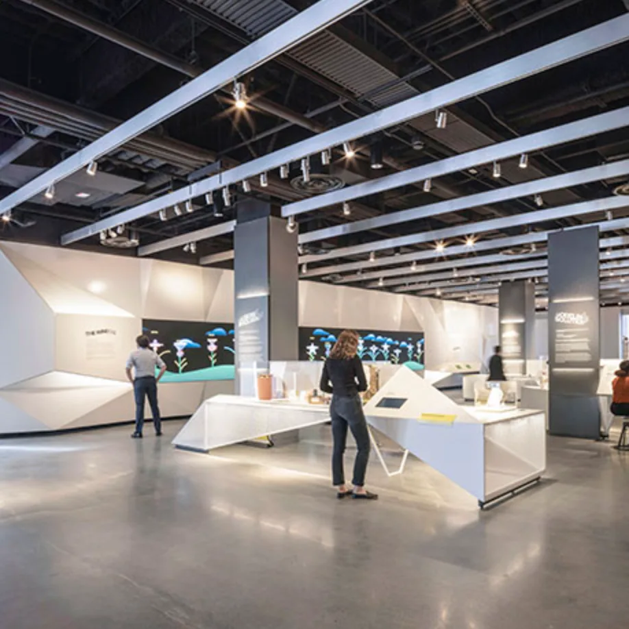 ARTAX track lights installed in a contemporary museum exhibition hall, providing precise architectural lighting for artwork displays.