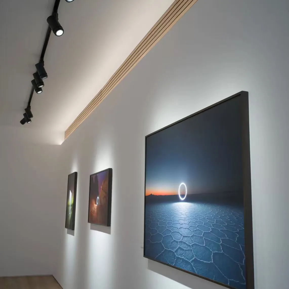 ARTAX track lights installed in a contemporary art gallery, providing precise accent lighting for artwork displays.